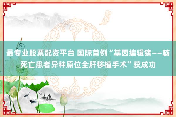 最专业股票配资平台 国际首例“基因编辑猪——脑死亡患者异种原位全肝移植手术”获成功