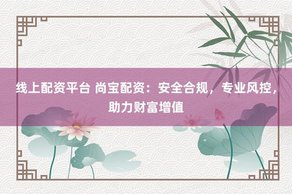 线上配资平台 尚宝配资：安全合规，专业风控，助力财富增值