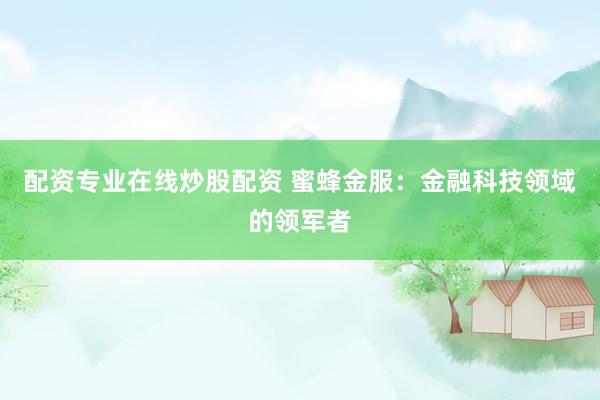 配资专业在线炒股配资 蜜蜂金服：金融科技领域的领军者