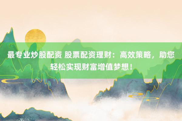 最专业炒股配资 股票配资理财：高效策略，助您轻松实现财富增值梦想！