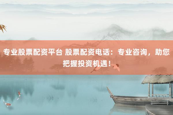 专业股票配资平台 股票配资电话：专业咨询，助您把握投资机遇！