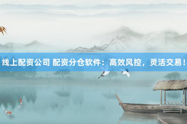 线上配资公司 配资分仓软件：高效风控，灵活交易！