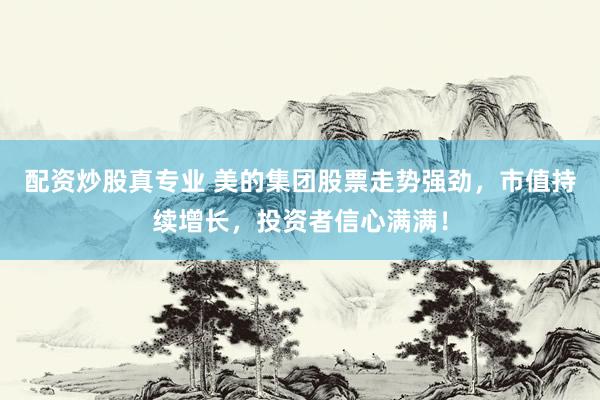 配资炒股真专业 美的集团股票走势强劲，市值持续增长，投资者信心满满！