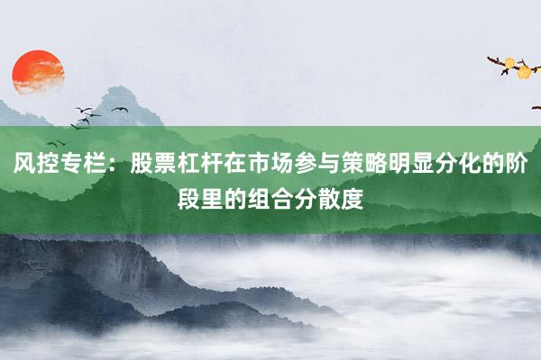 风控专栏：股票杠杆在市场参与策略明显分化的阶段里的组合分散度