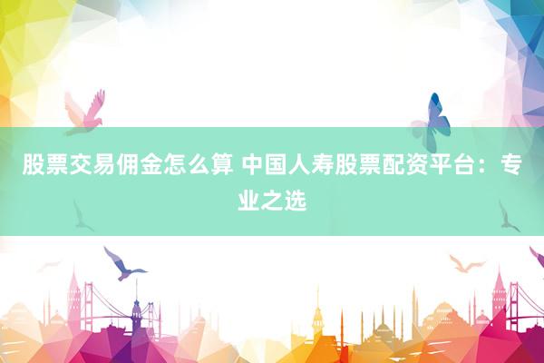股票交易佣金怎么算 中国人寿股票配资平台：专业之选
